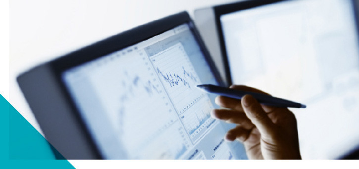 government_IT IT Services